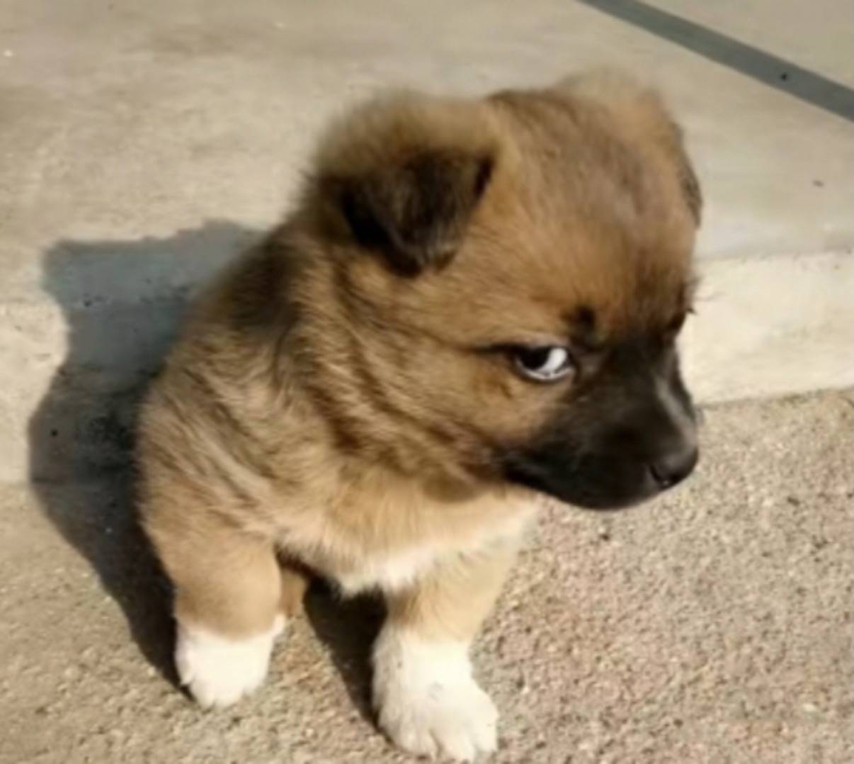 链接